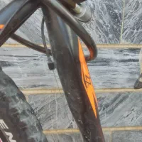 دوچرخه ویوا|دوچرخه، اسکیت، اسکوتر|معمولان, |دیوار