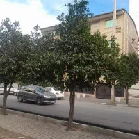 نظافتچی برای منزل،فوری