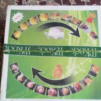 دستگاه جوجه کشی کاکس