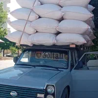 کاه گندم ولوبیاکاه نخودوعدس