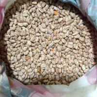 لوبیا دولتی حدود یک تن|خوردنی و آشامیدنی|سراب, |دیوار