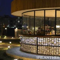 ظرفشور نیروی خدمات