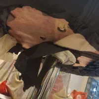 صندلی اپن جکدار|صندلی و نیمکت|تهران, تهرانپارس غربی|دیوار