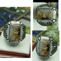 دوتا انگشتر شجر