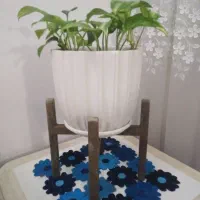 گل پتوس گلدان زیر گلدانی و پایه