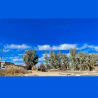 فروشنده فروشگاه کشاورزی