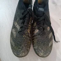 کفش ورزشی سالن