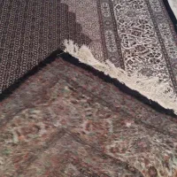 فرش دستباف ۲۴متری بی نظیر|فرش|بیرجند, |دیوار