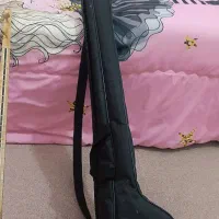 سه تار|سازهای سنتی|مرودشت, ولایت|دیوار