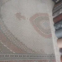 700 شانه ریزماهی گردویی