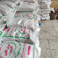 برنج درجه یک شوشتر