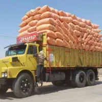 کاه موجود است