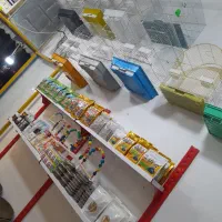 ملزومات پرنده|پرنده|خرمشهر, |دیوار