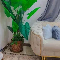 کاملا نو  بدون گلدون یک متر و ۸۰ سانت هست