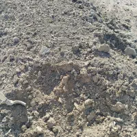 کود