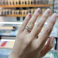 انگشتر های مینیمال / پر سود ترین سرمایه گذاری|بدلیجات|نیشابور, دارایی|دیوار
