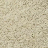 فروش برنج هاشمی درجه ۱ خوش پخت علاء به شرط