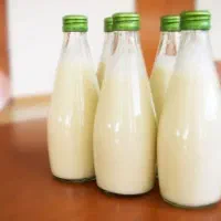 شیر اسب