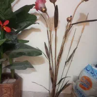 چراغ زینتی|ریسه و چراغ تزئینی|تبریز, |دیوار