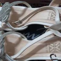 کفش مجلسی|کیف، کفش، کمربند|بهبهان, |دیوار