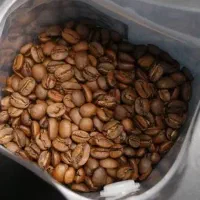 فروش دان قهوه فقط بصورت عمده