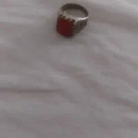 پرنده|پرنده|کوهسار (البرز), |دیوار