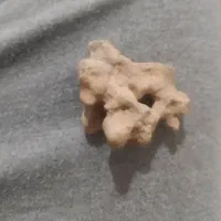 سنگهای خاص|کلکسیون اشیاء عتیقه|شاهین دژ, |دیوار