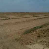 زمین در گلبهار