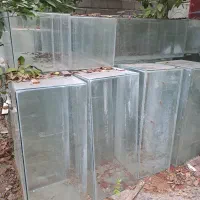 شهر اکواریوم|ماهی|ساری, |دیوار