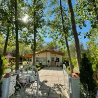 53-ویلاباغ400متری-تو-دل-جنگل-پول-زمینشم-نمیدی