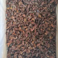 کشمش آفتابی آبگیری