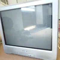 تلوزیون