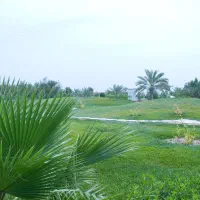 استخدام متصدی گلف در هتل مارینا پارک