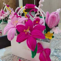 گل های مخملی (پیپ پاکن)