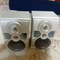 دوعدد باند سالم