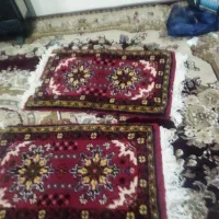 فرش کوچیک بانخ عالی|فرش|اهر, |دیوار