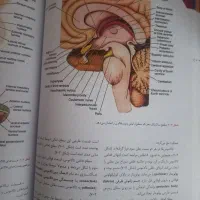 کتاب نوروآناتومی  اسنل|کتاب و مجله آموزشی|اصفهان, طامه|دیوار