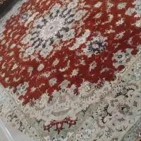 فرش ۱۲ متری نگین مشهد|فرش|تهران, عباس‌آباد|دیوار