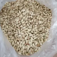 پسته ومغزپسته فروشی|خوردنی و آشامیدنی|قم, شهدا|دیوار