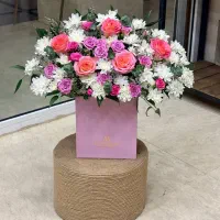 گل رز|گل و گیاه طبیعی|قم, بنیاد|دیوار