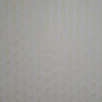 نقاشی ساختمان و طرح های کاغذ دیواری|خدمات پیشه و مهارت|یزد, |دیوار