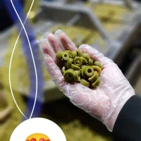 زیتون عمده قم