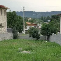 زمین سند تک برگ