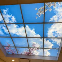 پخشواجرایکناف،کاغذدیواری،تیویوال،بین کابینت|خدمات پیشه و مهارت|قرچک, زیبا شهر|دیوار