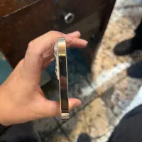 ۱۳پرومکس
