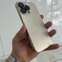 13pro
