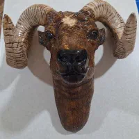 مجسمه گوزن