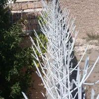 فروش حفاظ شاخ گوزنی