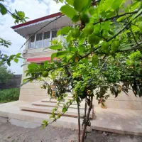 اجاره ویلا اطراف رشت ویو ابدی ۲۵۰متر فول مبله|اجارهٔ کوتاه‌مدت ویلا و باغ|کوچصفهان, |دیوار