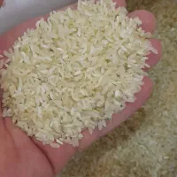 برنج کامفیروزی معطر  اعلاءاصفهان کارت کالابرگ آزاد|خوردنی و آشامیدنی|اصفهان, رزمندگان|دیوار